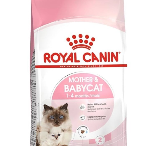ROYAL CANIN Mother and Babycat 2 Kg