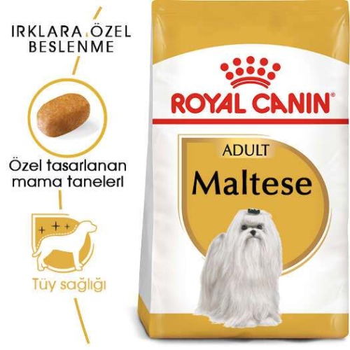 ROYAL CANIN Maltese Bichon Maltais Köpek Maması 1.5 Kg