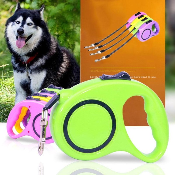 5 Metre Otomatik Makaralı Köpek Gezdirme Tasması 