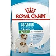 ROYAL CANIN Küçük Irk Anne Köpek Ve Yavruları Için Mama 4 Kg