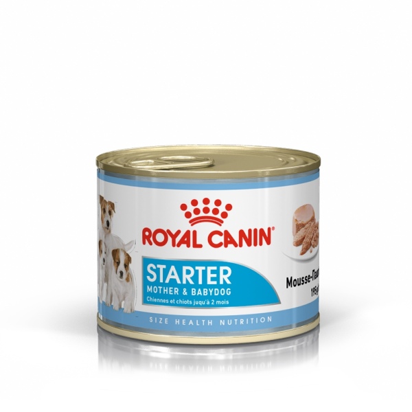 Royal Canin Starter Mousse Anne ve Yavruları İçin Köpek Konservesi 195 Gr